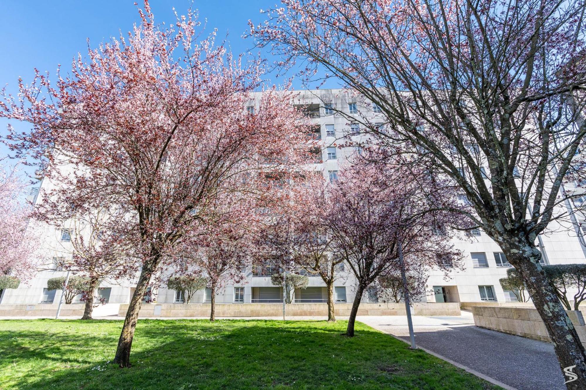 Cedofeita Sunny Apartment - Balcony & Parking ポルト エクステリア 写真